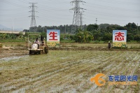 东莞多镇耕种“礼包”加码!农民兄弟请注意查收!