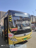 公交365路哈东站支线开通