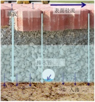 龙光地产:构建绿色生态家园 助力城市可持续发展