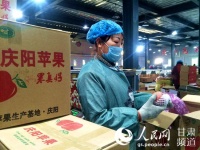 甘肃庆阳:栽好苹果树 结满“脱贫果”