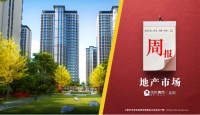 2020年岳阳市中心城区楼市周报(04.06-04.12)