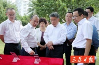 已建成5G基站423个…三亚“新基建”产业要这样推进→