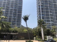 “豪宅项目”半山半岛再起波澜：数百套房产到底“已售”还是“未售”？