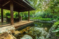 为美好而来—静听山林鸟鸣,畅享森林鲜氧