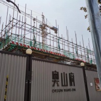 去年12月停工至今,业主心焦:奥山府撑得下去吗?