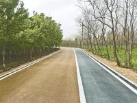 惠济区沿黄观光道路一期工程全部完工