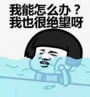 学费、书本费、食宿费全免!新型职业农民培训开始啦~