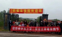 踏青寻莓,恒信桃李东方业主一同出发