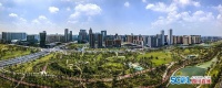 疫情后的公园城市——“公园城市”系列研究之二