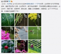暴跌11℃+雨雨雨!东莞天气又要大变脸!