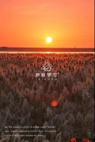 【伊丽罗莎】洋溢热情新动力,邂逅极致浪漫与温暖
