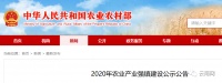 公示!云南要建9个国家级强镇!大理这个地方上榜