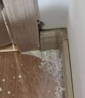 领秀珊瑚湾新房质量问题多多 高新区建设部:督促维修