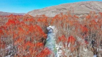 内蒙古阿尔山盼“春”来