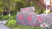 美不胜收!铁山坪森林公园500亩杜鹃花盛开