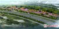 蓝花楹、异木棉……福州5公里景观带抢鲜曝光!堪称最美!