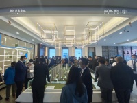 难道说这就是疫情过后的“报复性消费”?