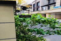 为美好而来—春风吹起,花朵含苞待放
