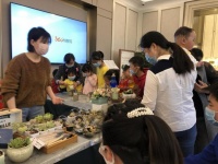 这个春天,公园“邂逅”了多肉