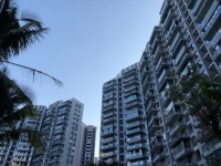 深圳楼市火热背后谁是推手