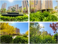 荣联天下城丨微汗的跑道,全景式社区,周末宅家开“狂欢”趴