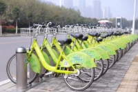5月6日起,许昌“小绿”免押金骑行!