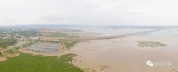 钦北改扩建项目征地施工防疫齐头并进,打造北海交通新格局!