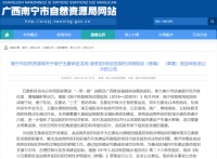 吃一大瓜!五象火车站+2329亩规划,龙岗人气将大爆发?