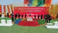 浑南向东,可以承载多少期待?