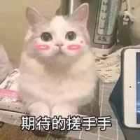 五一假期去哪里?网红小姐姐带你直播游青城