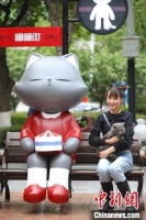 都是猫,喵喵喵!南京“喵喵街”火热开街