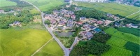 土地使用权转让需要交什么税