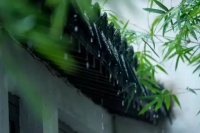 以滴水为名·品赏馥郁柔情