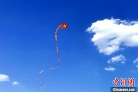 章鱼、蜈蚣、玩具熊……特色风筝亮相风筝音乐节