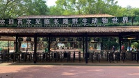 【特写】闭园百天后复工,广州长隆还远未恢复活力