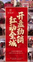 开盘劲销 红动全城 双企龙城二期和悦府首开钜惠500元/m²