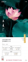 金科川南|盛夏始 万物长