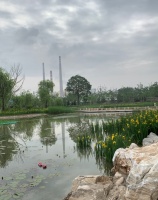 打造城区到副中心绿色廊道！广渠路沿线将现千亩湿地公园