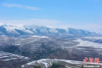 “千年药乡”甘肃宕昌迎“夏雪” 万亩药材获“甘霖”