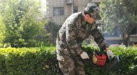 创城攻坚!滕州物业公司都在行动,你们小区变干净了么?