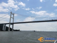官方辟谣!虎门大桥38号吊索已于去年完成更换