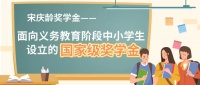 大写的优秀!商丘这几位小学生将获国家级奖学金!