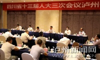 如何融入成渝地区双城经济圈建设 泸州代表团提了这些建议