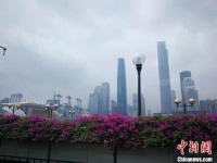 广东率先启动国家委托用地审批权试点实施工作