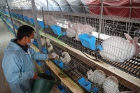 甘肃镇原:脱贫攻坚冲刺时