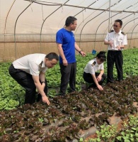 昆明海关助力云蔬出口跑出高速度