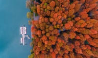 龙湖·春江天序|奇遇国家公园,龙湖带你“寻宝大冒险”!