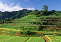 凯诺律师:多地发布征地补偿安置方案,看看它长什么样