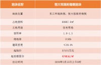 楼面价6514元/㎡,金昌竞得恒大悦珑府南侧地块