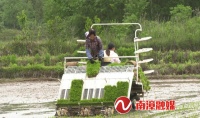 南漳:六万台农机开启水稻插秧“加速度”